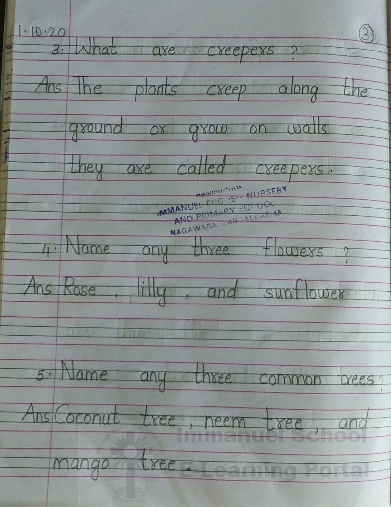 2nd std evs science plants of backyard lesson 03 notes immanuel