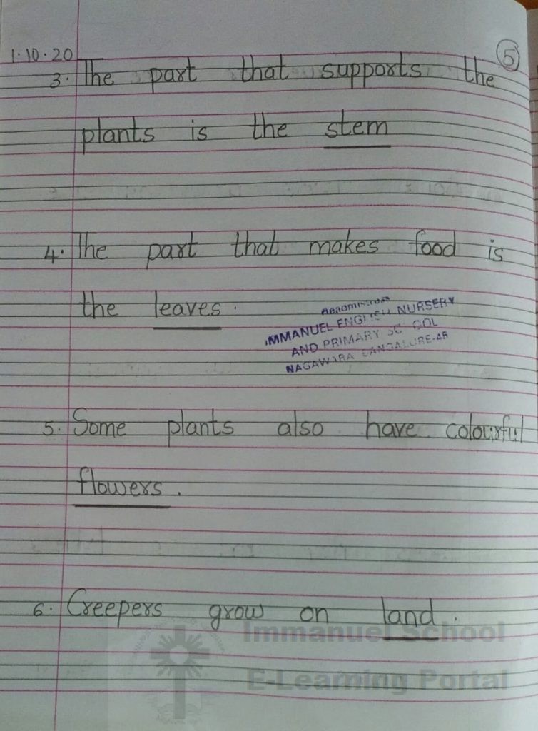 2nd std evs science plants of backyard lesson 03 notes immanuel