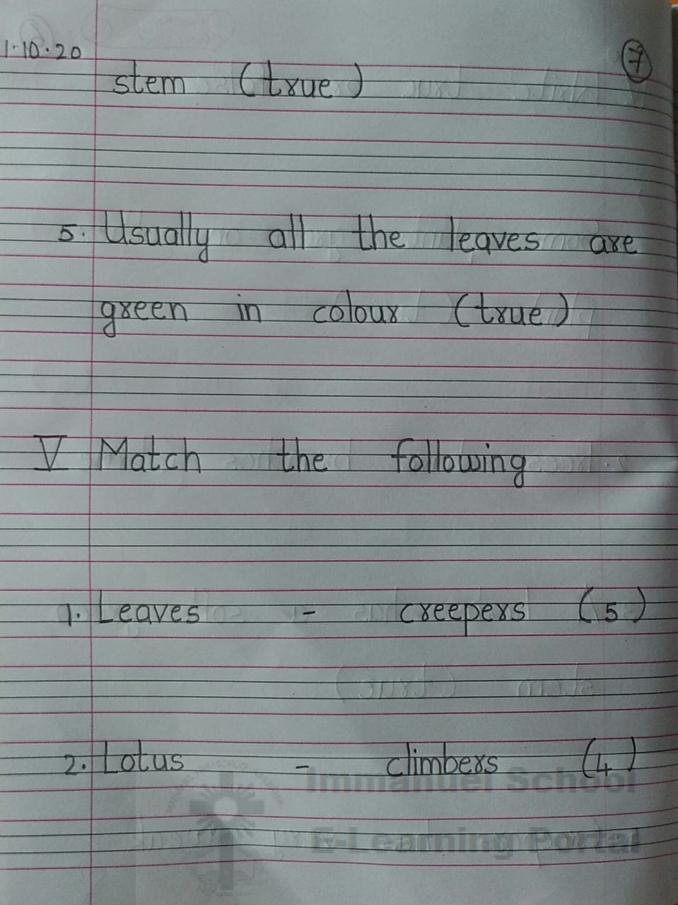 2nd std evs science plants of backyard lesson 03 notes immanuel