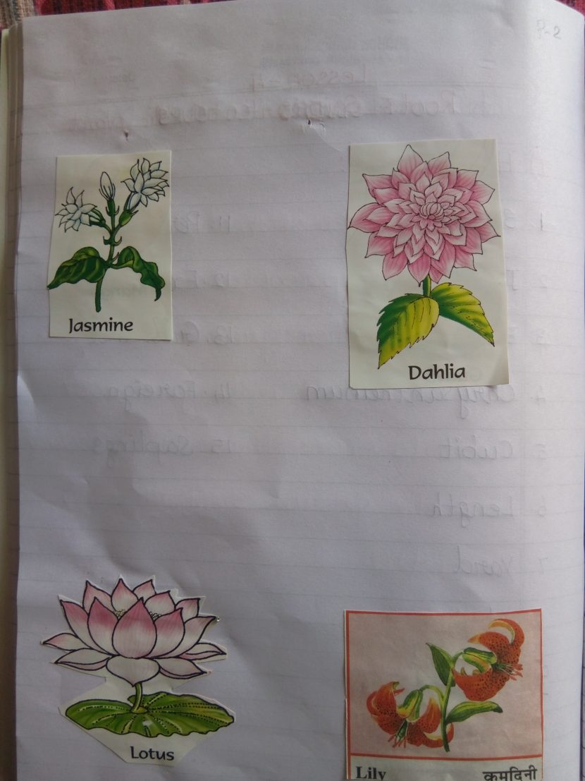 4th standard E.V.S Lesson – 5 Flowers – colors (class work) – IMMANUEL ...